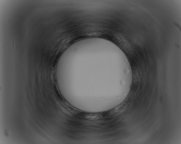 X0000097640175200802290831