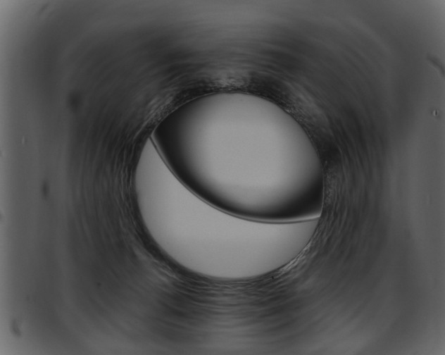X0000097640176200802290831