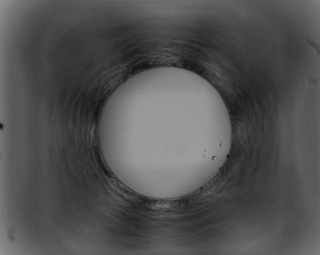 X0000097640177200802290831
