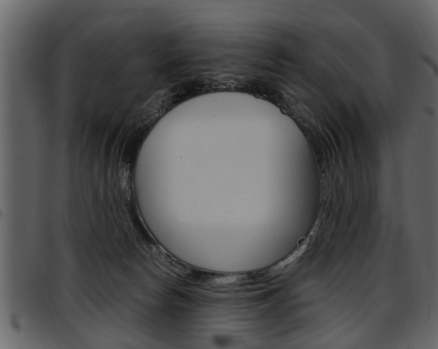X0000097640178200802290831