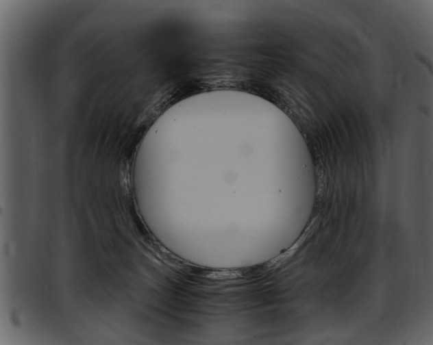 X0000097640179200802290831