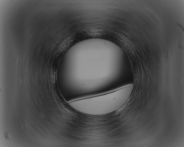X0000097640180200802290831