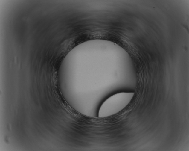 X0000097640181200802290831