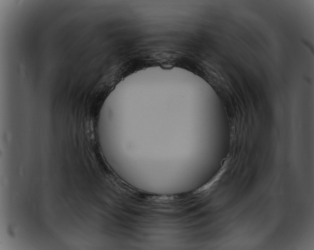 X0000097640182200802290831