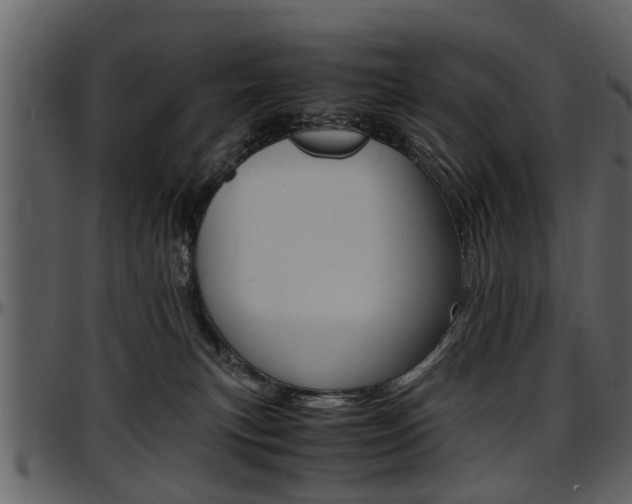 X0000097640183200802290831