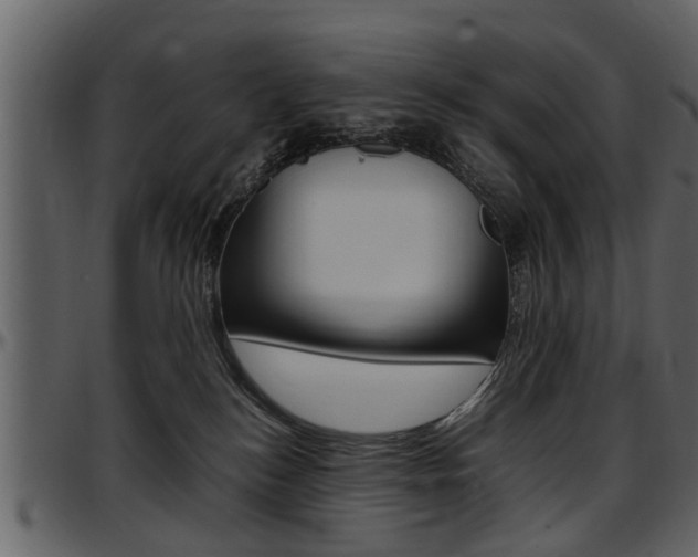 X0000097640184200802290831