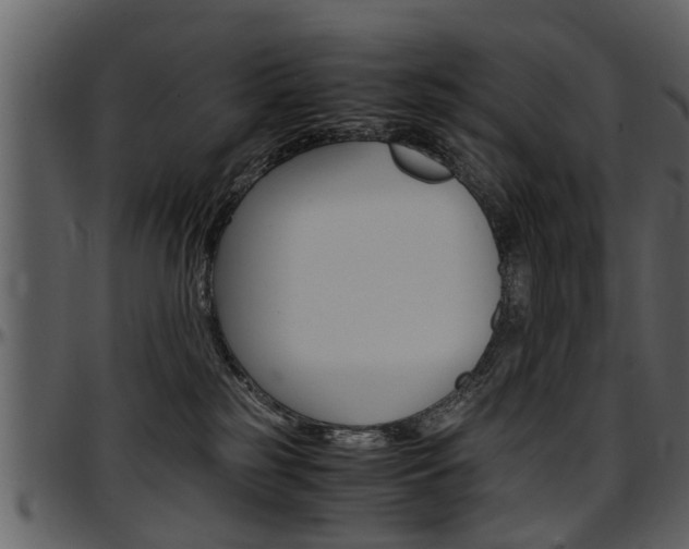 X0000097640185200802290831