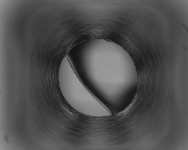 X0000097640186200802290831