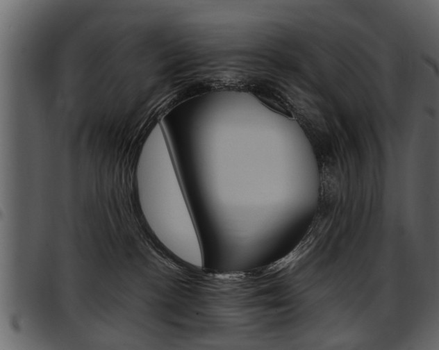 X0000097640188200802290831