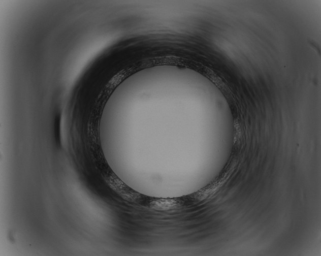 X0000097640189200802290831