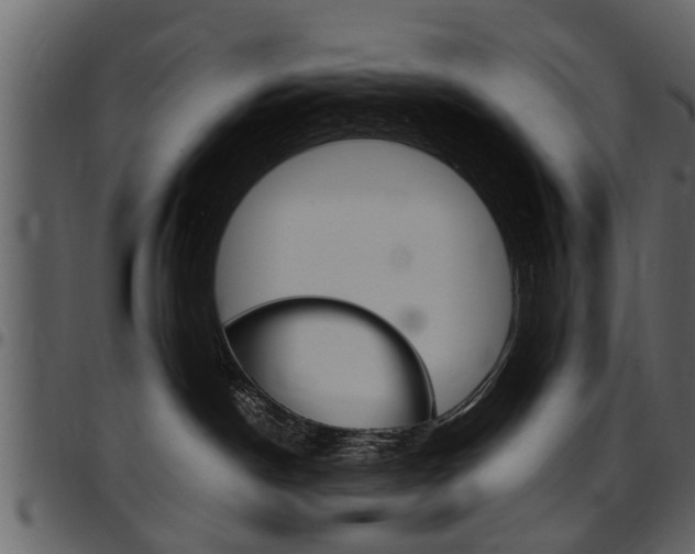 X0000097640190200802290831