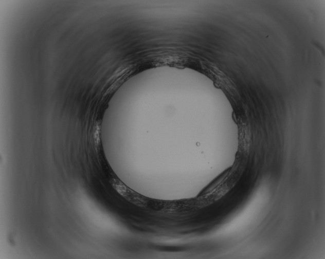 X0000097640191200802290831