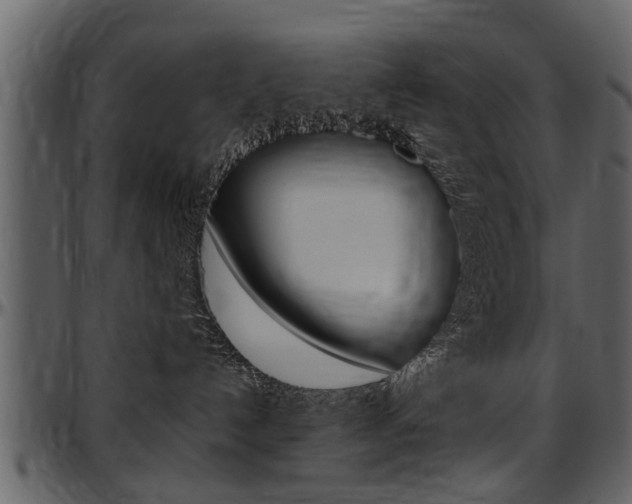 X0000097640192200802290831