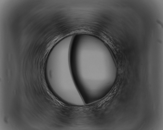 X0000097640193200802290830