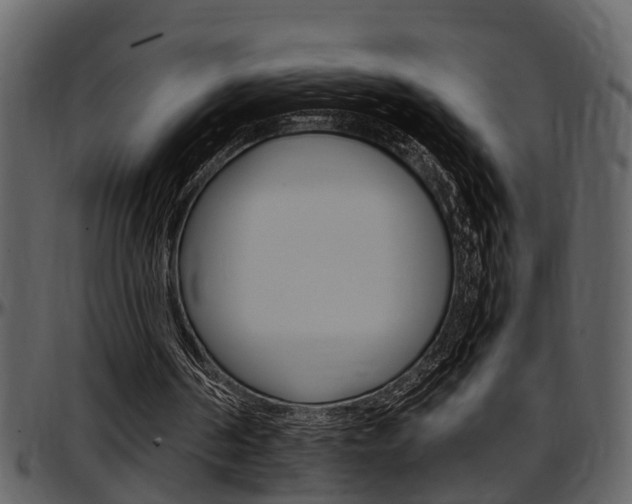 X0000097640194200802290830