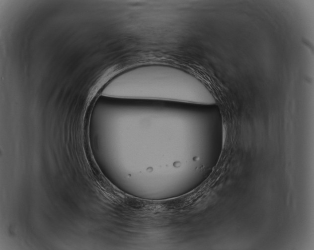 X0000097640195200802290830
