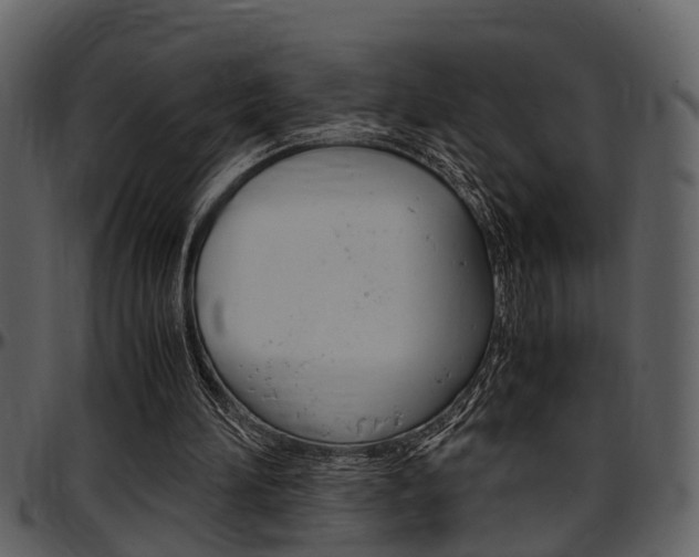 X0000097640196200802290830