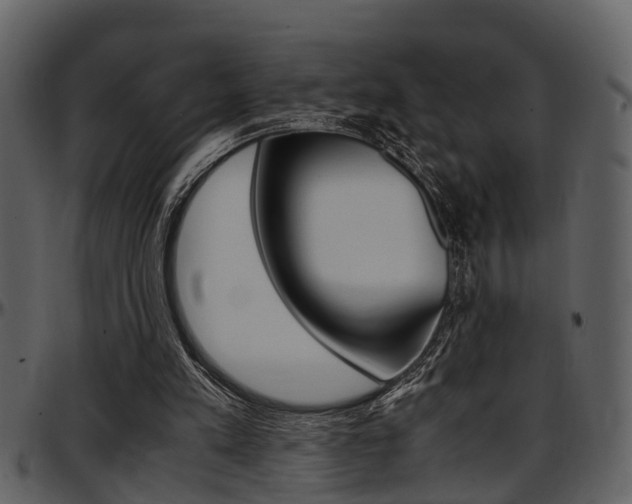 X0000097640197200802290830