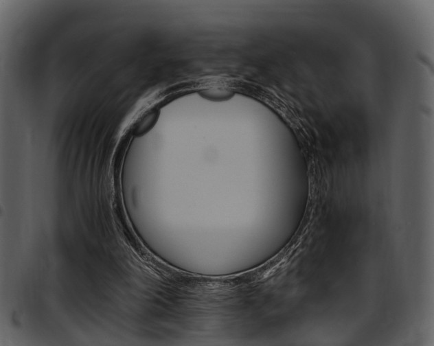X0000097640198200802290830