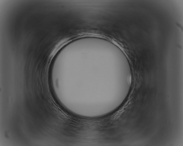 X0000097640199200802290830