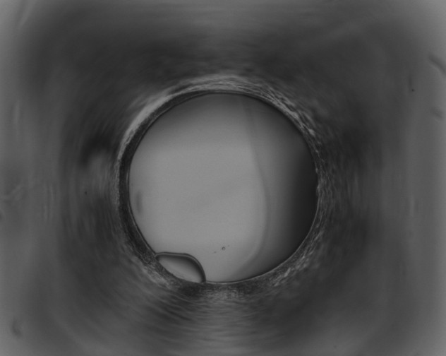 X0000097640200200802290830