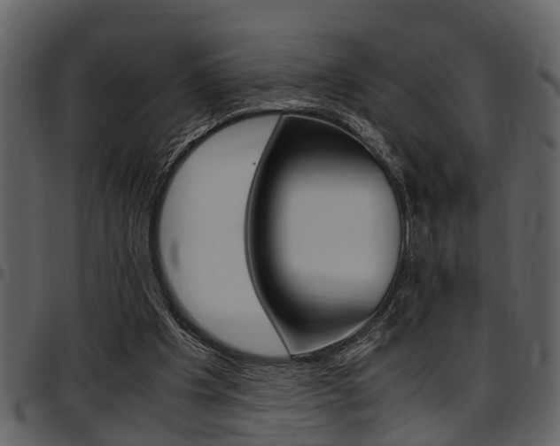 X0000097640201200802290830