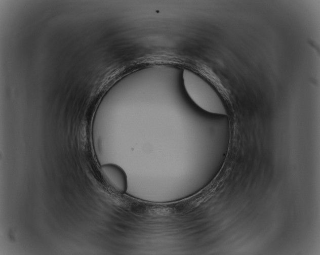 X0000097640202200802290830
