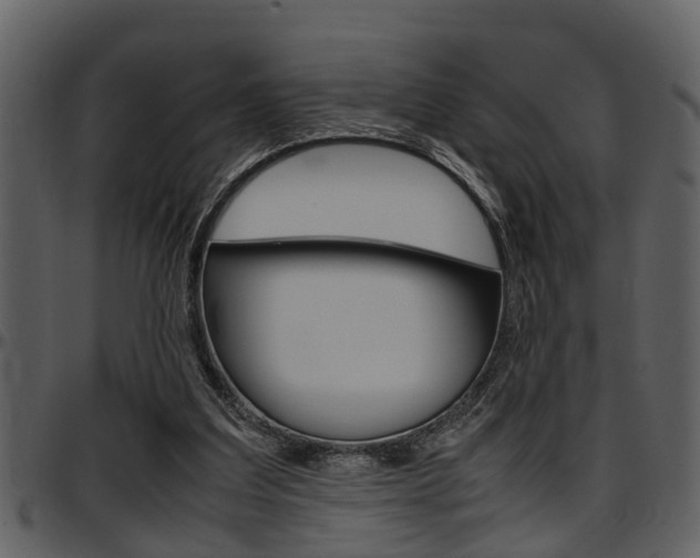 X0000097640203200802290830