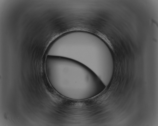 X0000097640204200802290830