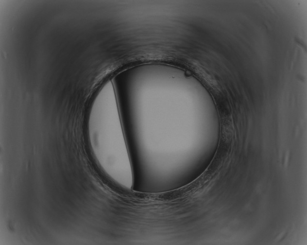 X0000097640207200802290830