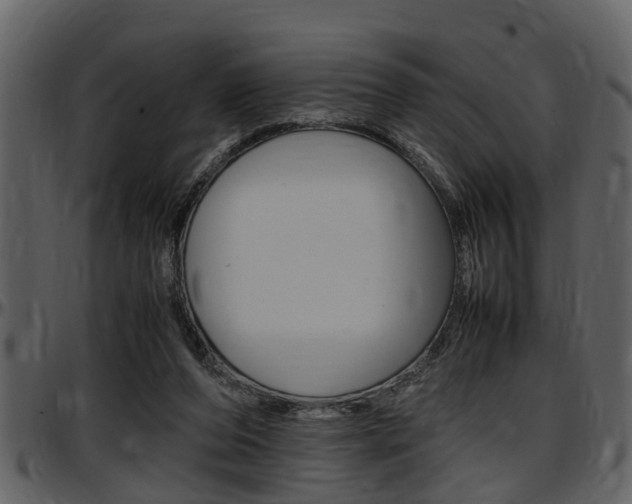 X0000097640208200802290830