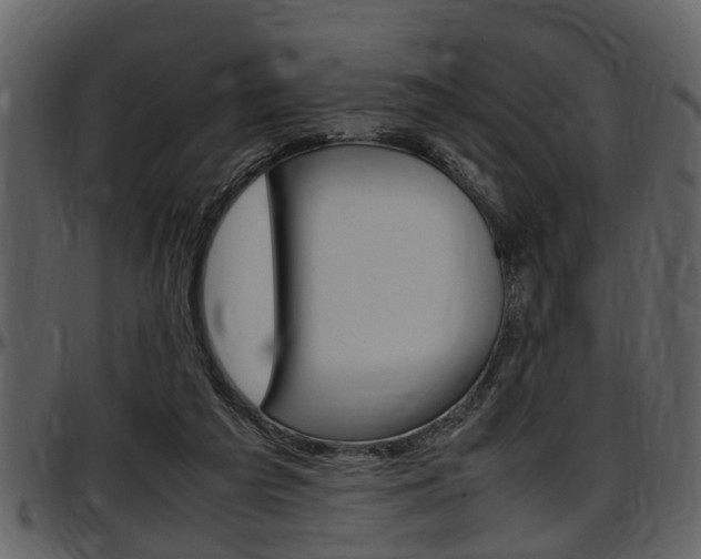 X0000097640209200802290830