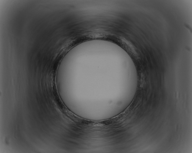 X0000097640210200802290830