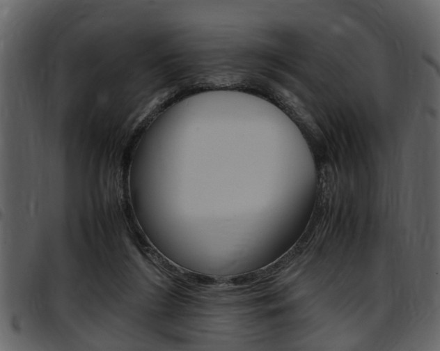 X0000097640212200802290830