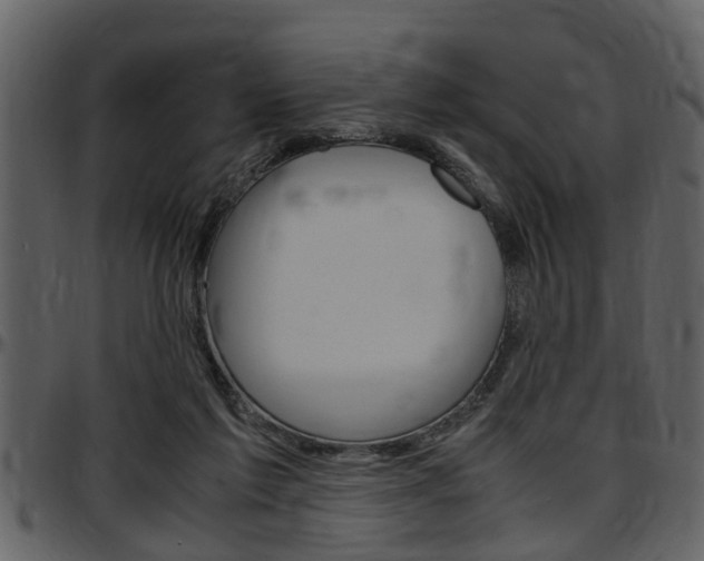 X0000097640213200802290830