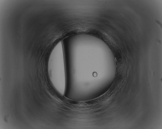 X0000097640215200802290830