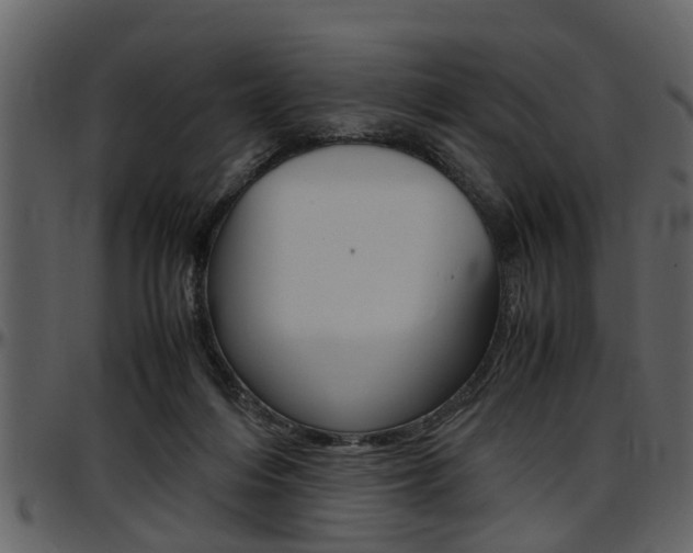 X0000097640216200802290830