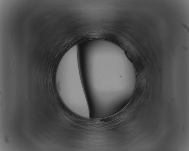 X0000097640217200802290830