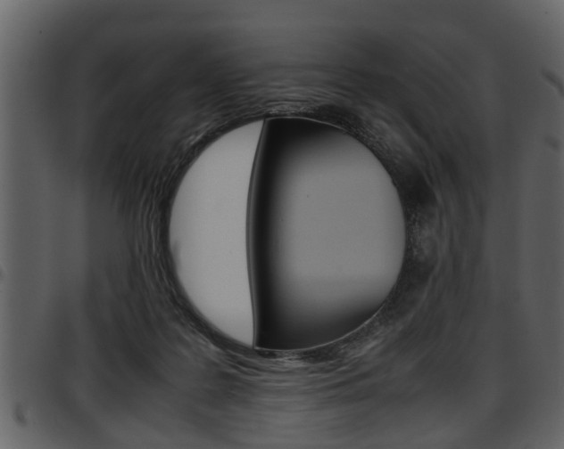 X0000097640219200802290830