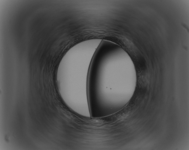 X0000097640221200802290830