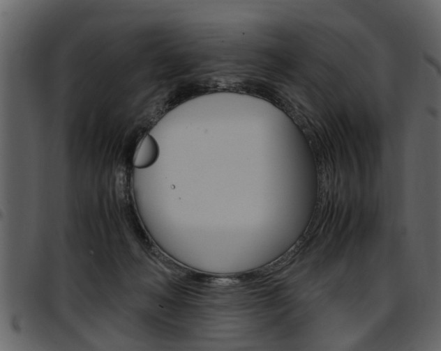 X0000097640222200802290830