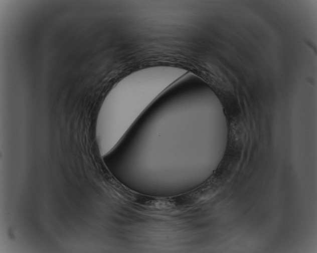 X0000097640223200802290830