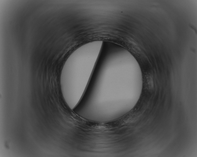 X0000097640224200802290830