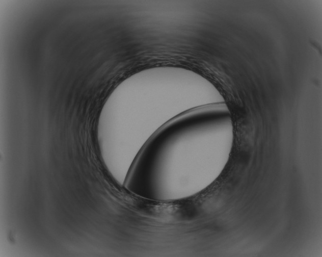 X0000097640225200802290830