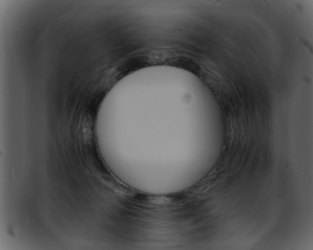 X0000097640226200802290830
