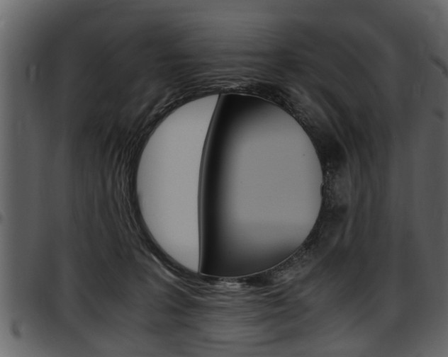 X0000097640227200802290830
