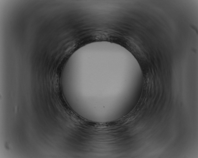 X0000097640228200802290830