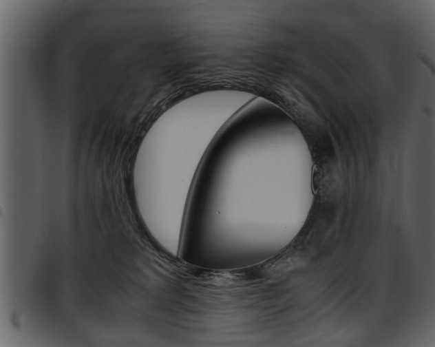 X0000097640229200802290830