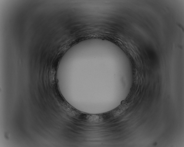 X0000097640230200802290830