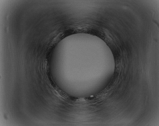 X0000097640231200802290830